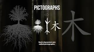 The Skritter Character Course: Simple Pictographs #shorts