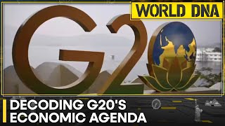 Economic challenges await the upcoming G20 Summit 2023 | Latest News | World DNA