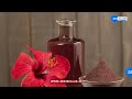 benefits of hibiscus flower જાસૂદ ફૂલના ફાયદા જાણીને તમે ચોંકી જશો જુઓ એક જ ક્લિકમાં...