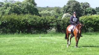 Boden Park dressage and sj   Ringfort Rubicon winning 170514 004