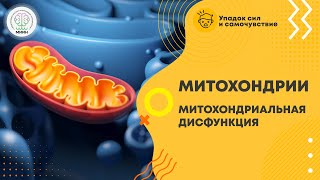 УПАДОК СИЛ И САМОЧУВСТВИЕ | Митохондрии. Митохондриальная дисфункция.