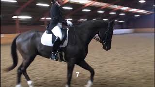 B proef 6 Saasveld 201 punten Kayleigh\u0026Finnigan