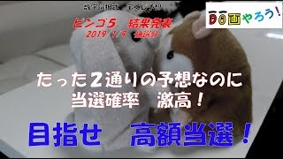 【ビンゴ5結果】１等　高額当選を夢見て第91回を予想した結果！