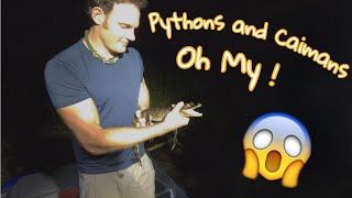 Pythons and Caimans Oh My!