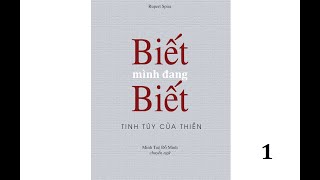 Sách BIẾT MÌNH ĐANG BIẾT I Chương I - Cái Biết như Màn Hình Bất Động I Rupert Spira