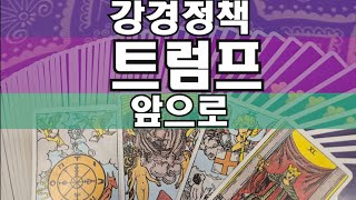 타로🔮트럼프 정부의 앞으로/ 관세,불법이민,성소수자문제 -강건정책 통할까?