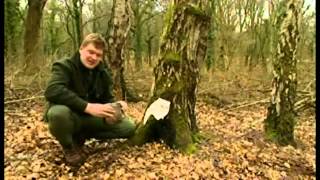 Ray Mears Eating - Fantastic Montage