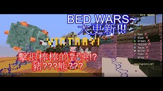 [小笨豬]BED WARS~ 大更新!!!擊退棒棒的對決!? 豬???熊???