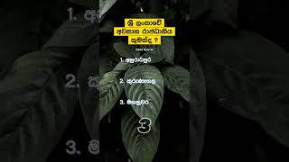 ශ්‍රී ලංකාවේ අවසාන රාජධානිය කුමක්ද ? 🤔😉 | 113 💥 #quiztest