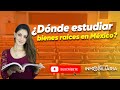 ¿Dónde ESTUDIAR BIENES RAÍCES en México? | Capacitaciones, certificaciones, libros, y más