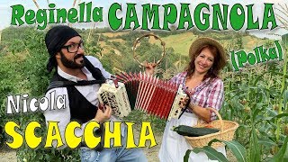 REGINELLA CAMPAGNOLA (polka) elaborazione di NICOLA SCACCHIA campione del mondo di organetto.
