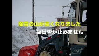 除雪の雪山が高くなりました。