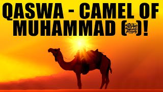 MOST BEAUTIFUL STORY OF MUHAMMAD (ﷺ)!