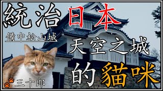 【貓咪城主】日本天空之城 最強貓城主   三十郎 織田信長與毛利家 備中松山城史｜日本歷史｜百大名城｜岡山歷史｜TIGER日本TV｜