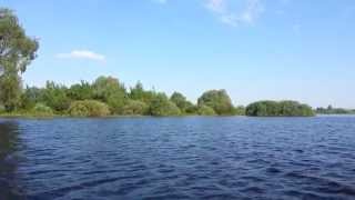 Озеро Ильмень, пойма / Ilmen lake, flood land