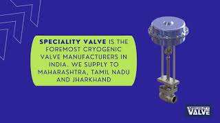 Cryogenic Valves Explained : Types, Advantages, Industrial Application | Speciality Valve