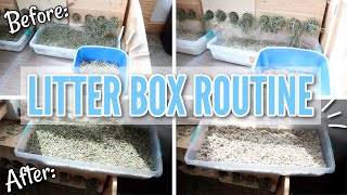 Rabbit Litter Box Setup and Cleaning Routine