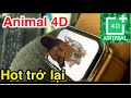 Animal 4D Hot Trở Lại | Cách Làm Trên Điện Thoại.