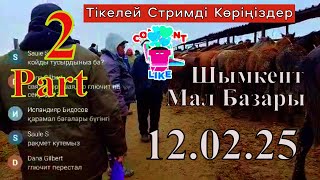 Айғырлар 💘 Шымкент  Жылқы Мал базары. 💝Shymkent/ Horses Marfket 💥  12.02.25 / Part / Бөлім -2