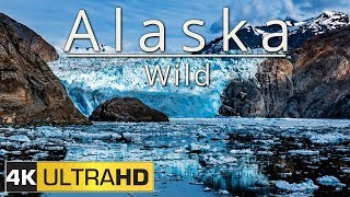 Alaska: Wild (4K Aerial \u0026 Timelapse Edit)