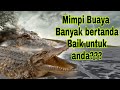 Mimpi Buaya dan artinya||PRIMBON JAWA