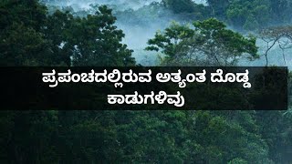 ಅಮೆಜಾನ್ ಕಾಡಿಗಿಂತ ದೊಡ್ಡದಾದ ಕಾಡು ನಮ್ಮ ಭೂಮಿಯ ಮೇಲಿದೆ - Largest forests in the world explained in kannada