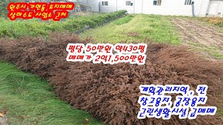 원주시 가현동 공장용지 창고용지 토지매매 평당50만원 약430평입니다.