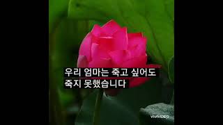 우리엄마는 / 국순정      노래/ai(인공지능)