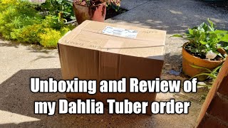 Unboxing and Review of Dahlia Tuber Order Part 1