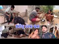 ଅତିଥି ଦେବ ଭବ || Dui Friends Nka Maja Masti@DpEatingShow