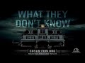 What They Don't Know - Susan Furlong (AudioBook thriller)