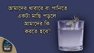 আমাদের খাবারে বা পানিতে মাছি পড়লে আমাদের কি করা উচিত? What to do if a fly falls into food or drink?