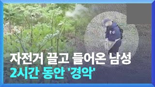 사유지에서 허락 없이 고사리 채취하면 ‘형사 처벌’ 주의