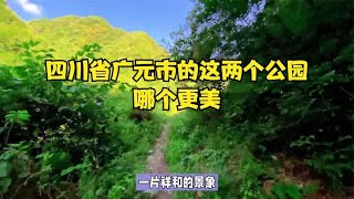 四川省广元市的这两个公园，哪个更美？