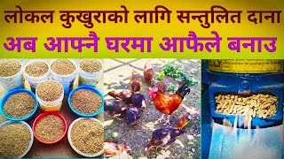 लोकल कुखुरा पालन | दाना बनाउने तरिका | feed making | poultry farm