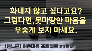 [분노없는 삶] 21일차_분노의 촉발제, 못마땅한 마음 l 화내지 않는 법, 분노조절장애, 12단계