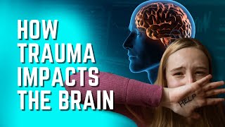 Uncovering the Hidden Effects of Trauma: What REALLY Happens to Your Brain and Body