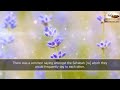 Www.darseQuran.com