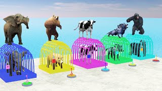 Cow Elephant Gorilla Wolf Bear Guess The Right Key ESCAPE ROOM CHALLENGE Animals Cage Game