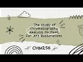 😉The study of Chromatography Analysis On Paint For Art Restoration 🧠 - CHM256