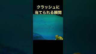 【TDS】クラッシュに指名される瞬間！ / タートルトーク / 東京ディズニーシー　#shorts