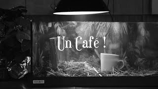 Un Café ! | Court-Métrage Fantastique