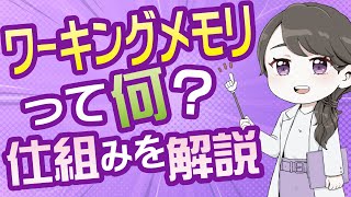 【10分でわかる】ワーキングメモリの仕組みをスッキリ理解！ASD・ADHDの子どもの支援に大切すぎる（フル字幕）#27