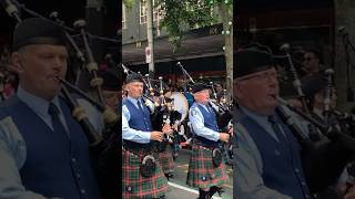 Bagpipers Live Performance | New Zealand Police Band | Santa Parade #bagpipes #bagpiper #music #xmas