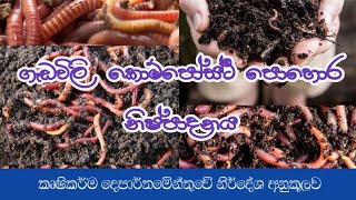 ගැඩවිලි කොම්පෝස්ට් පොහොර නිෂ්පාදනය | worm compost