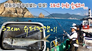 참돔들의 끊임없는 입질 | 5짜 슈퍼전갱이까지…조기철수! (with 마린베어)