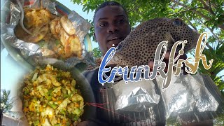 TRUNK FISH/CONCH STEAM ROAST WITH CRACKERS #steamroast #conch #cunnybuk fish #jamaica