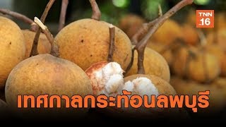 เทศกาลกระท้อนหวาน เมืองลพบุรี | เรื่องดีดีทั่วไทย