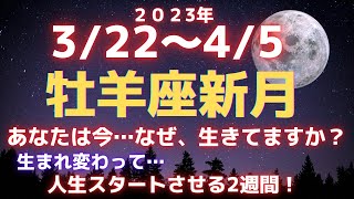 3/22牡羊座新月：生まれ変わって…人生をスタートさせる2週間！