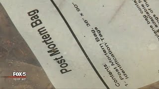 Dalton boy finds burned body in woods
